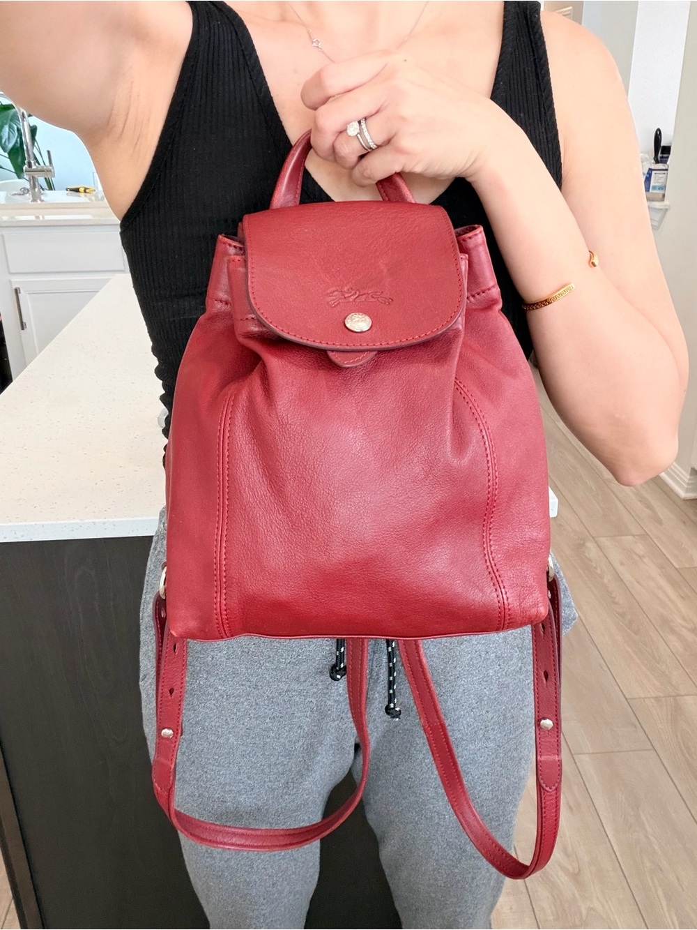 Auth LONGCHAMP Le Pliage Mini Burgundy Leather Backpack